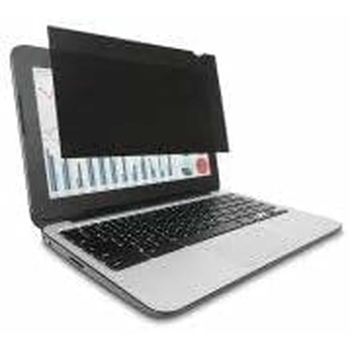 Privacy Plg 60.4cm/23.8'' Wide 16:9