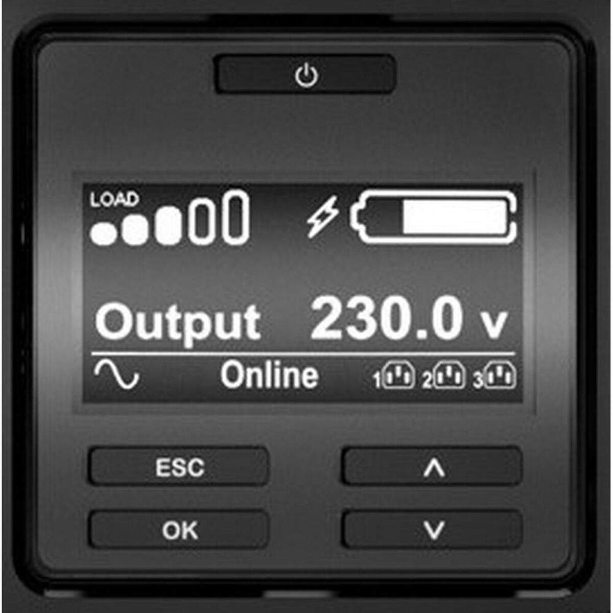 APC Smart-UPS SRT 1000VA RM UPS rack-mountable AC 230V 1000Watt 1000VA RS-232 USB output connectors 6 PFC 2U Black