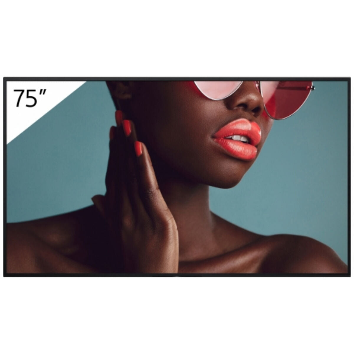75" Pro BRAVIA LCD 700nit Haze