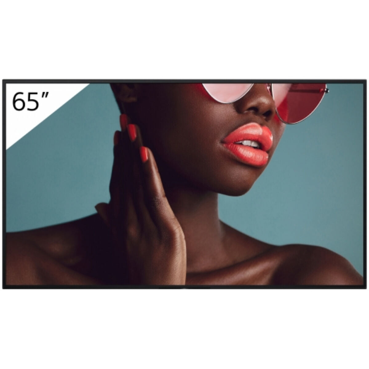 65" Pro BRAVIA LCD 700nit Haze