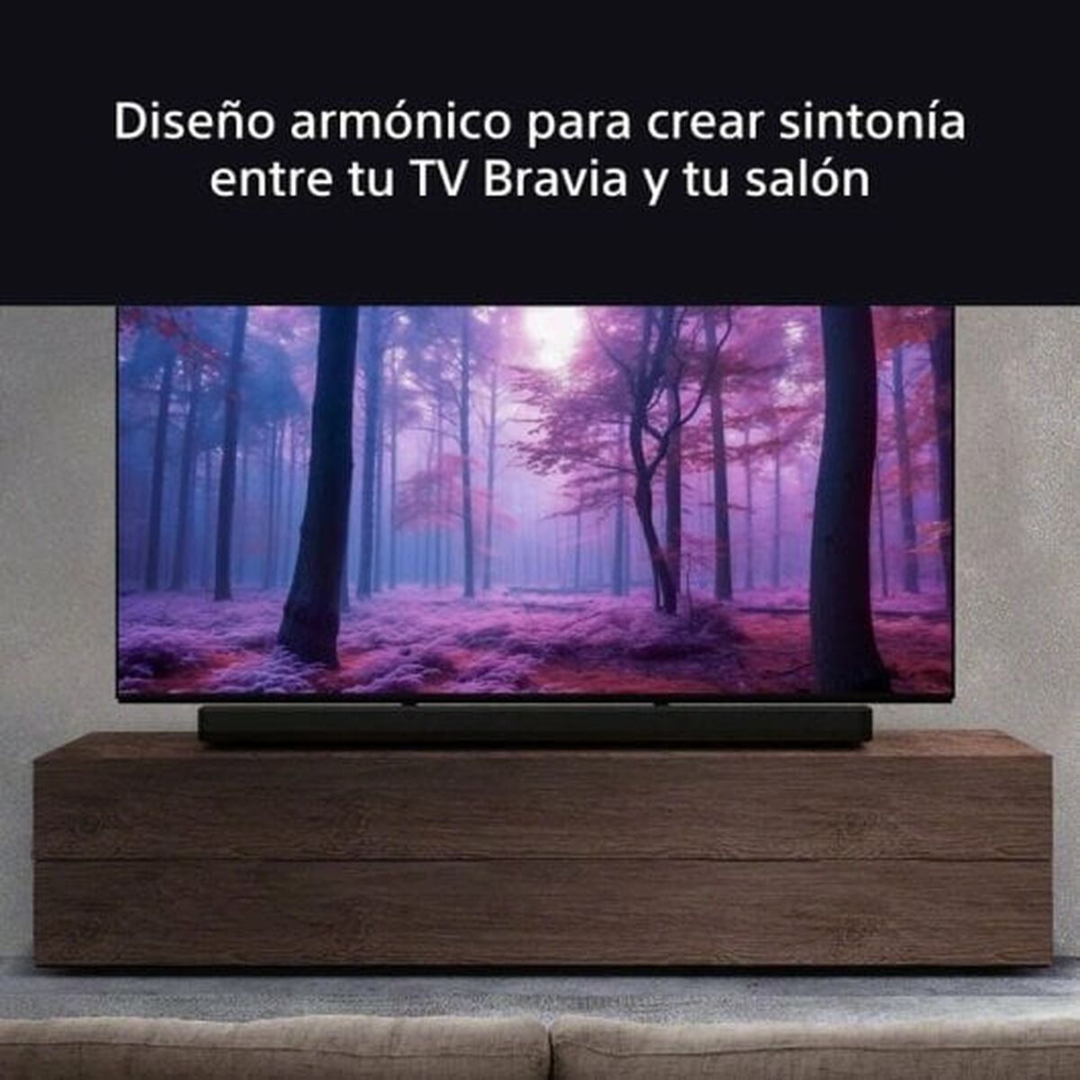 Barre audio Sony BRAVIA Noir