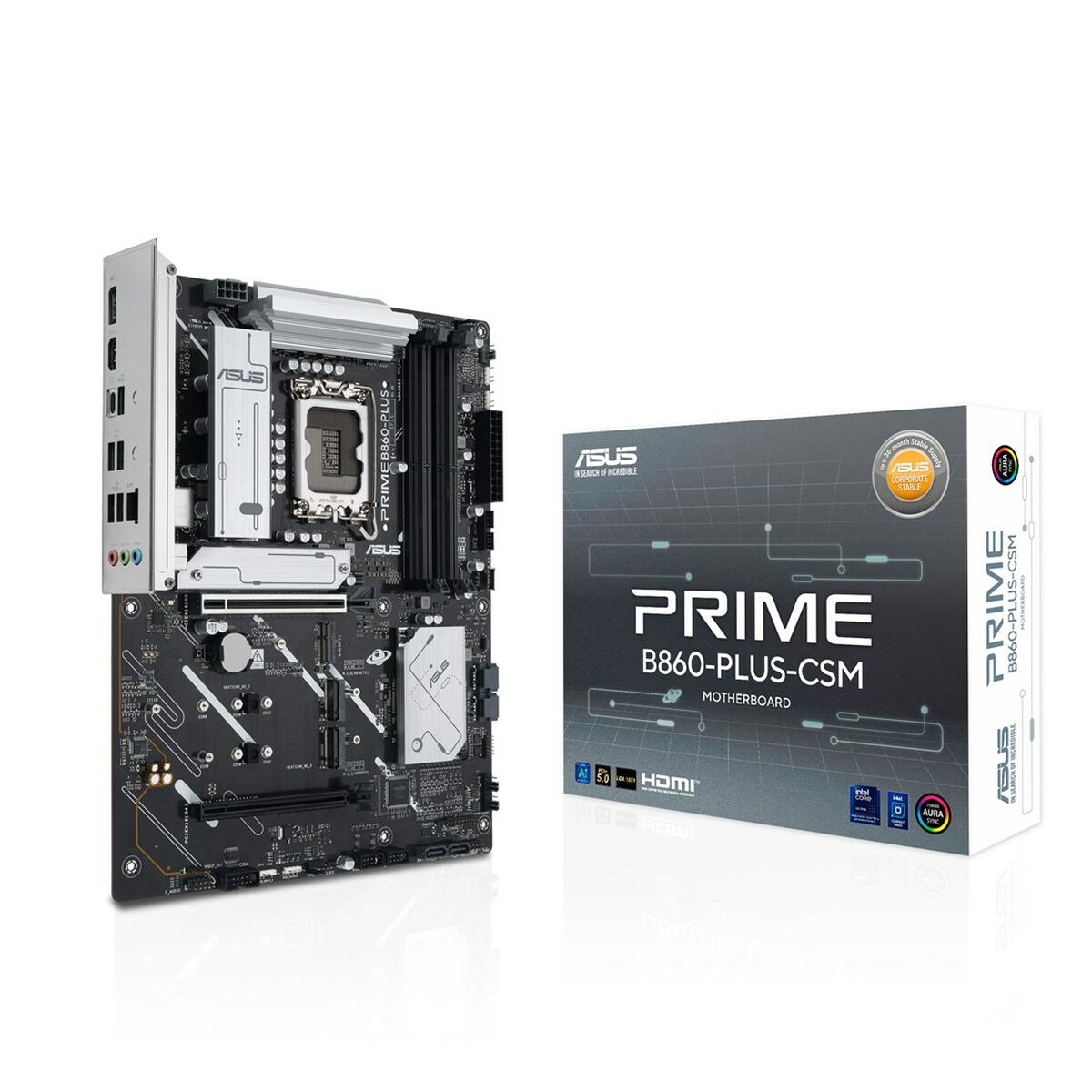ASUS PRIME B860-PLUS-CSM LGA1851 DDR5 ATX MB 1xHDMI 1xDP 3xM.2 4xSATA
