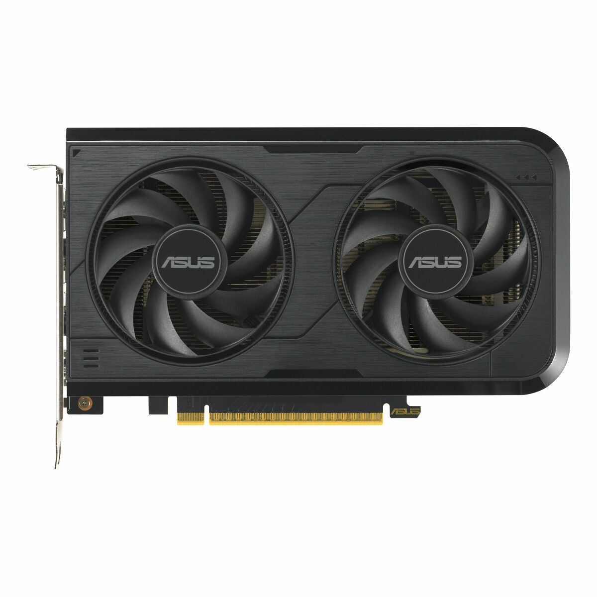 ASUS DUAL Geforce RTX 5050 OC 8Go GDDR6 3xDP 1xHDMI