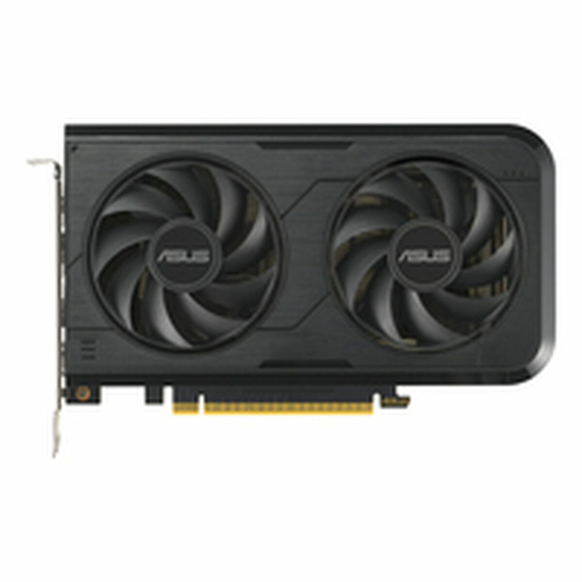 ASUS DUAL Geforce RTX 5050 OC 8Go GDDR6 3xDP 1xHDMI