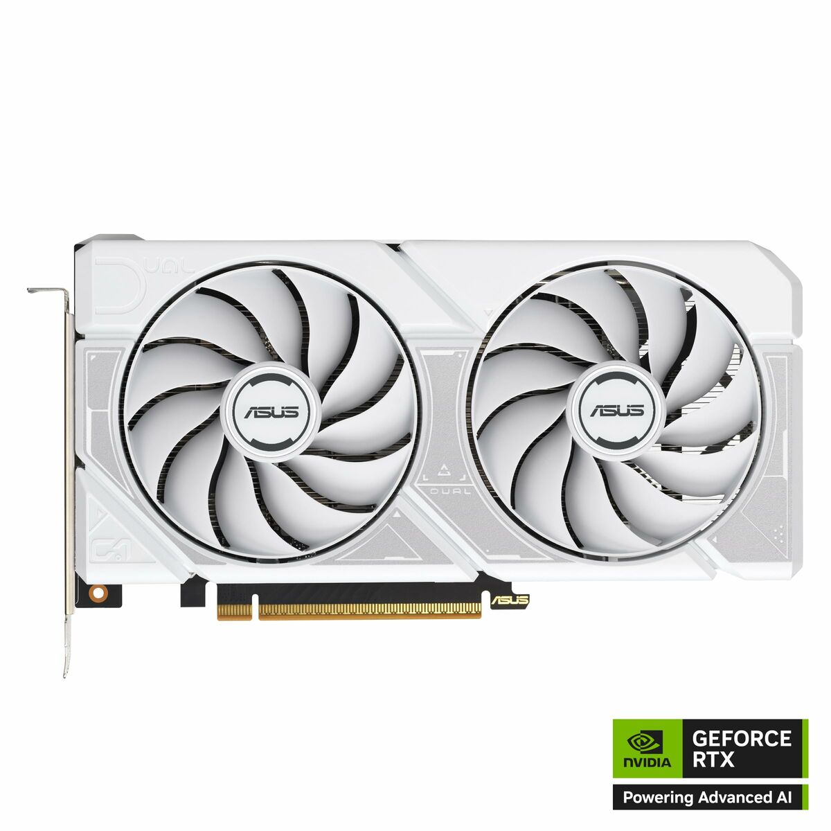 ASUS DUAL RTX 5060 OC 8Go GDDR7 3xDP 1xHDMI WHITE