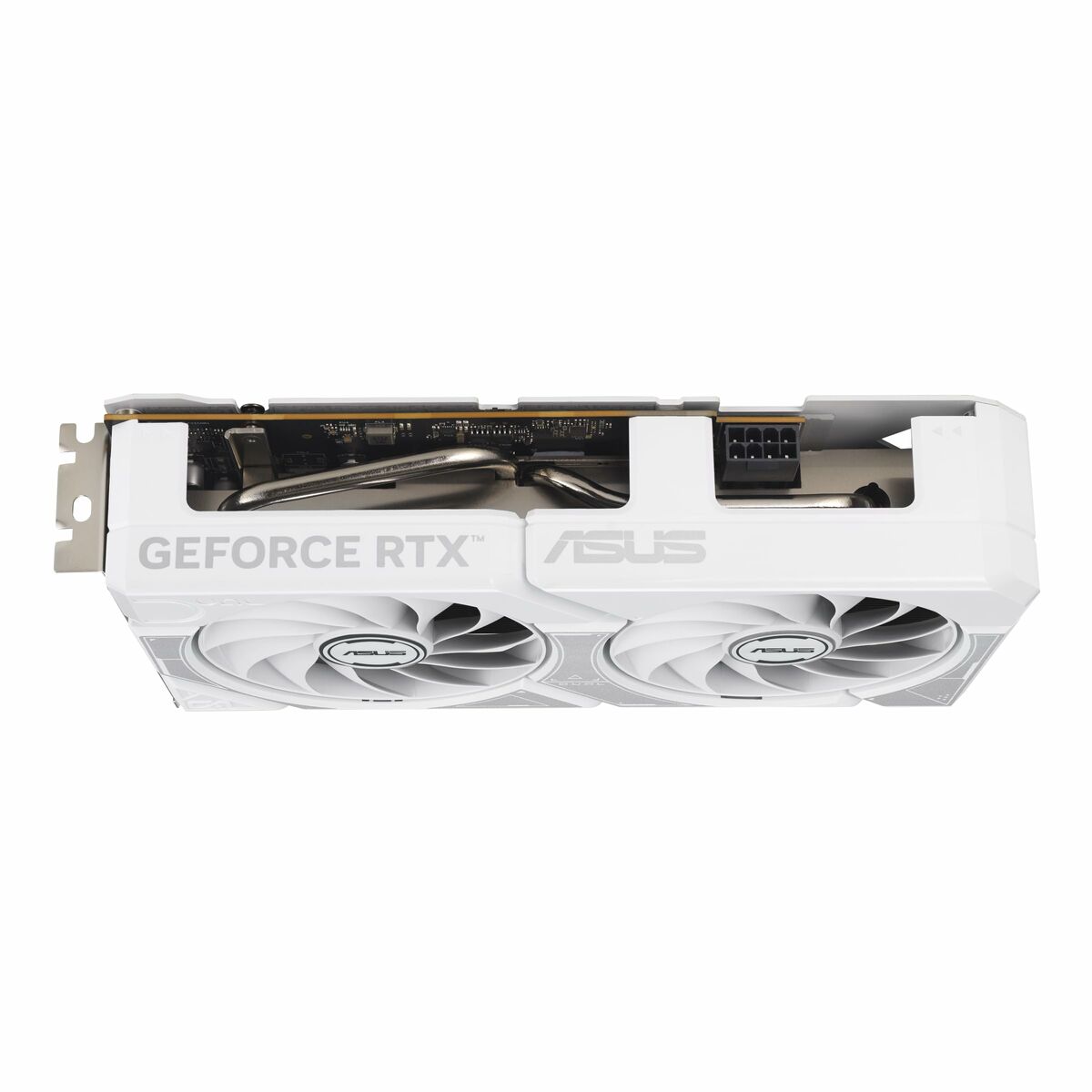 ASUS DUAL RTX 5060 OC 8Go GDDR7 3xDP 1xHDMI WHITE