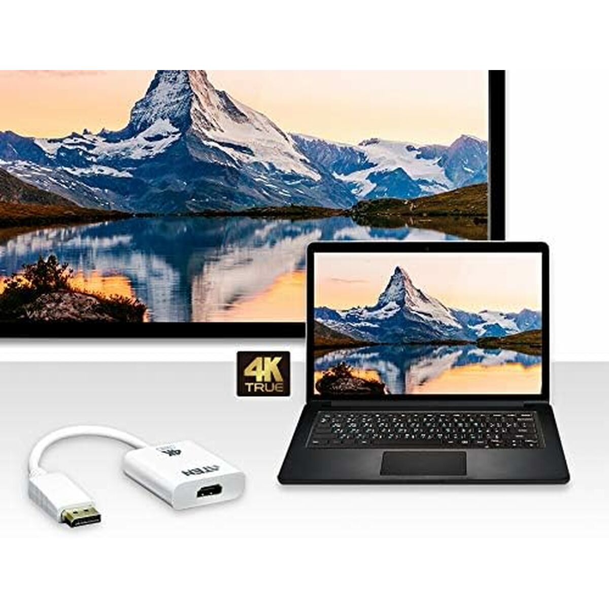 ATEN VC986B-AT câble vidéo et adaptateur Blanc