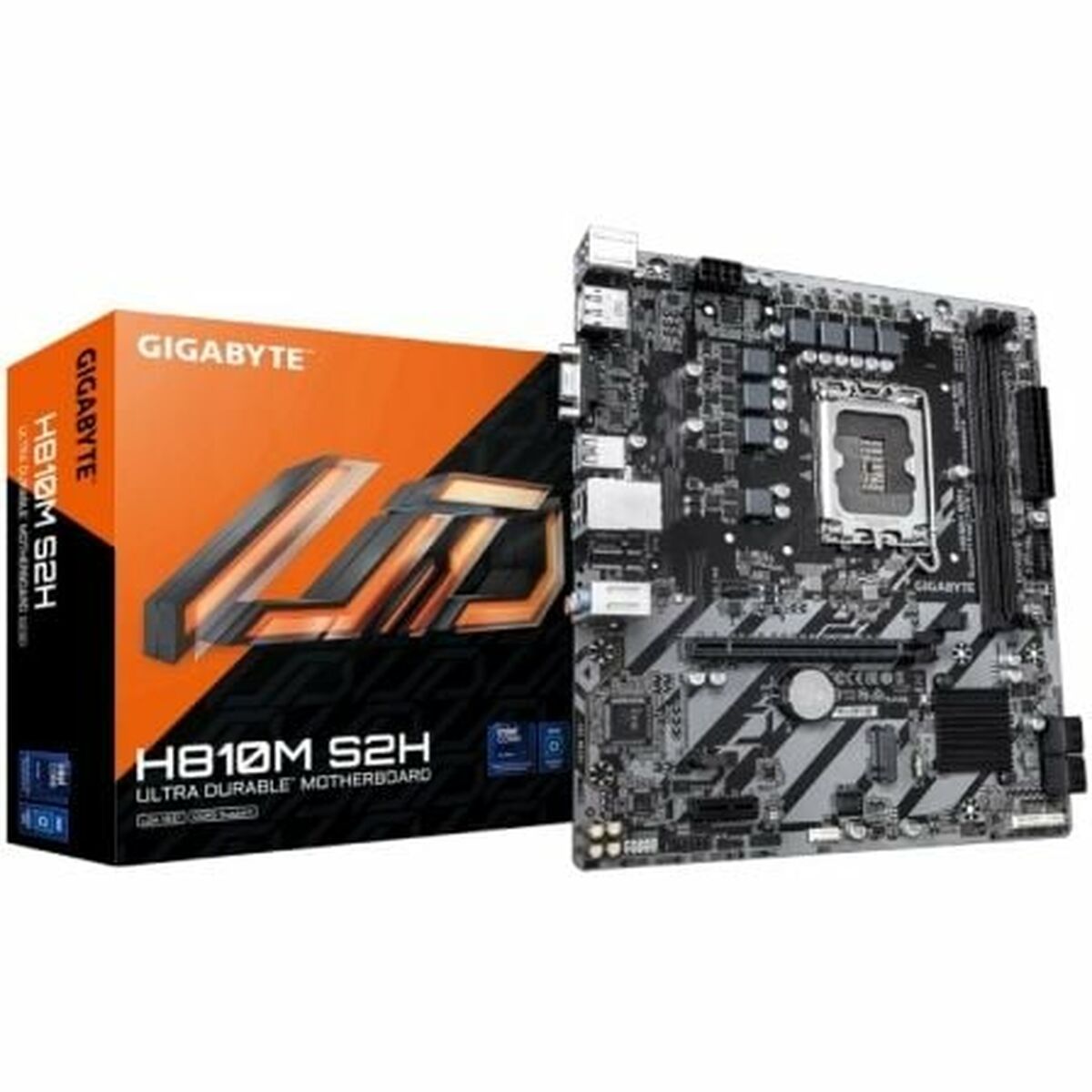 GIGABYTE H810M S2H carte mere Intel H810 LGA 1851 (Socket V1) micro ATX