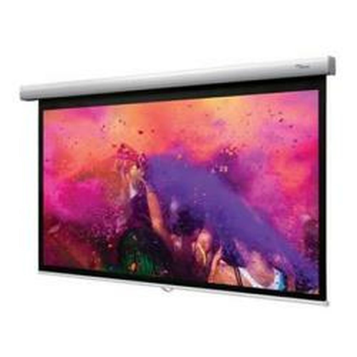 OPTOMA DS-9106MGA Ecran de Projection Manuel 16/9 132x234cm