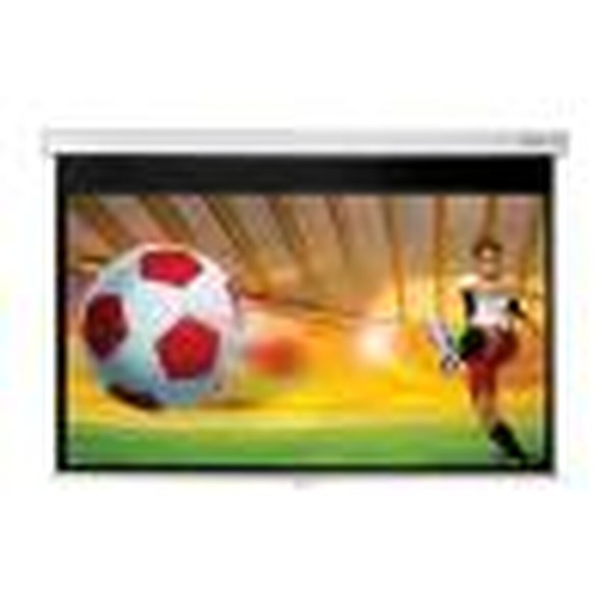 OPTOMA DS-9092PWC Écran de Projection ManueL 16/9 114x203cm