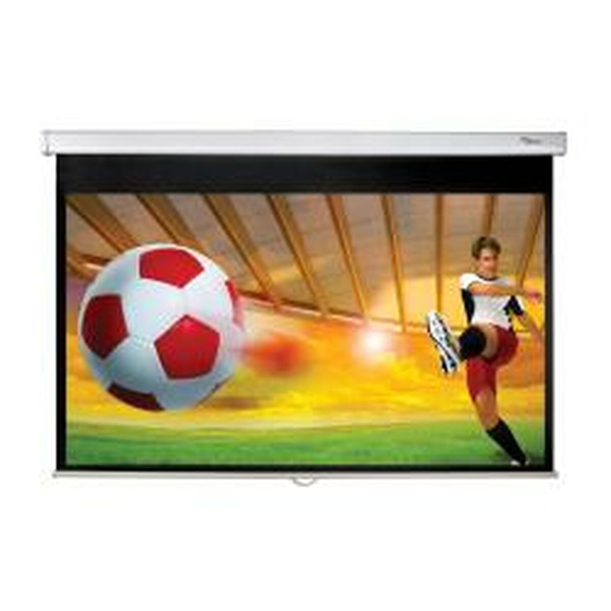 OPTOMA DS-9092PWC Écran de Projection ManueL 16/9 114x203cm
