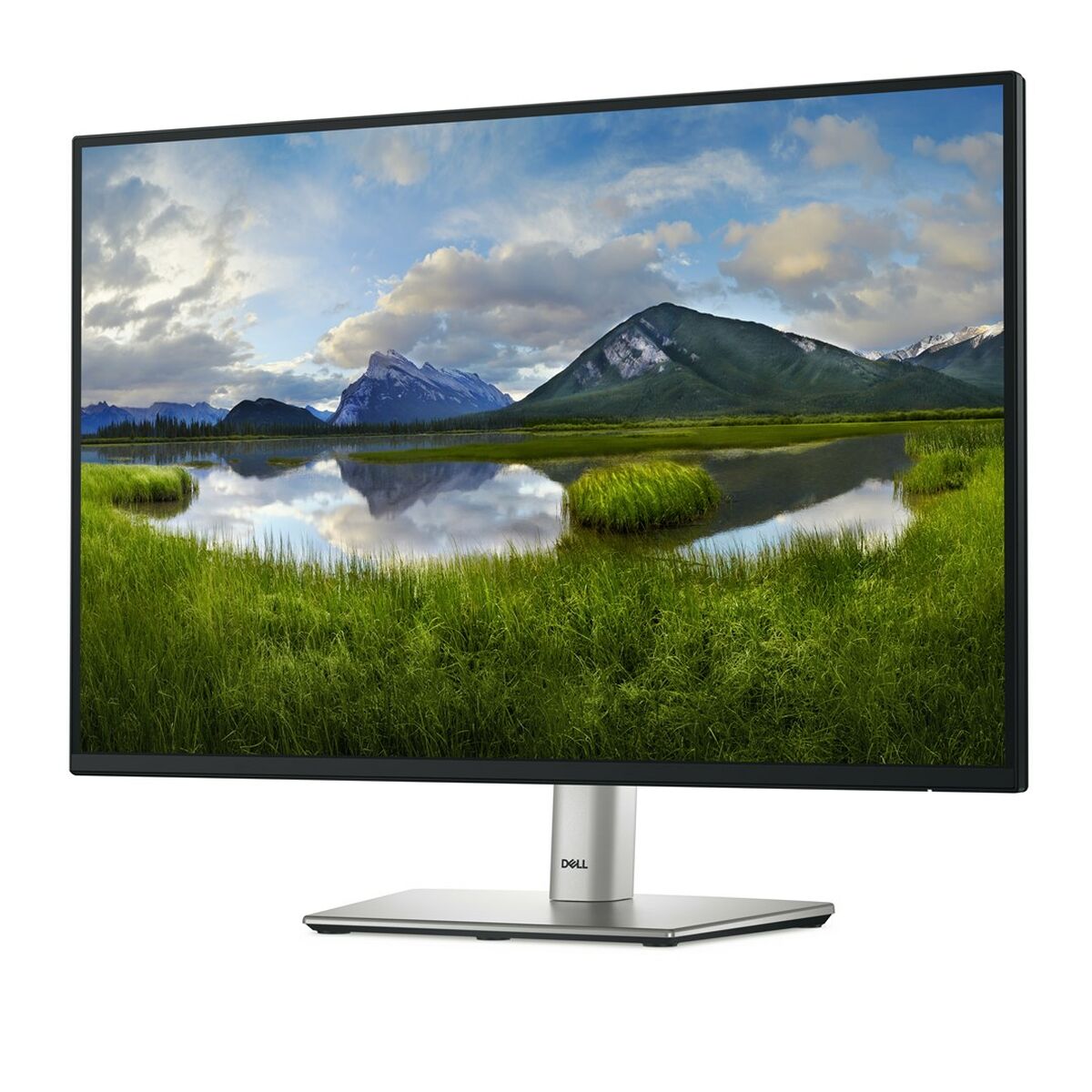 Dell 24" P2425 Monitor