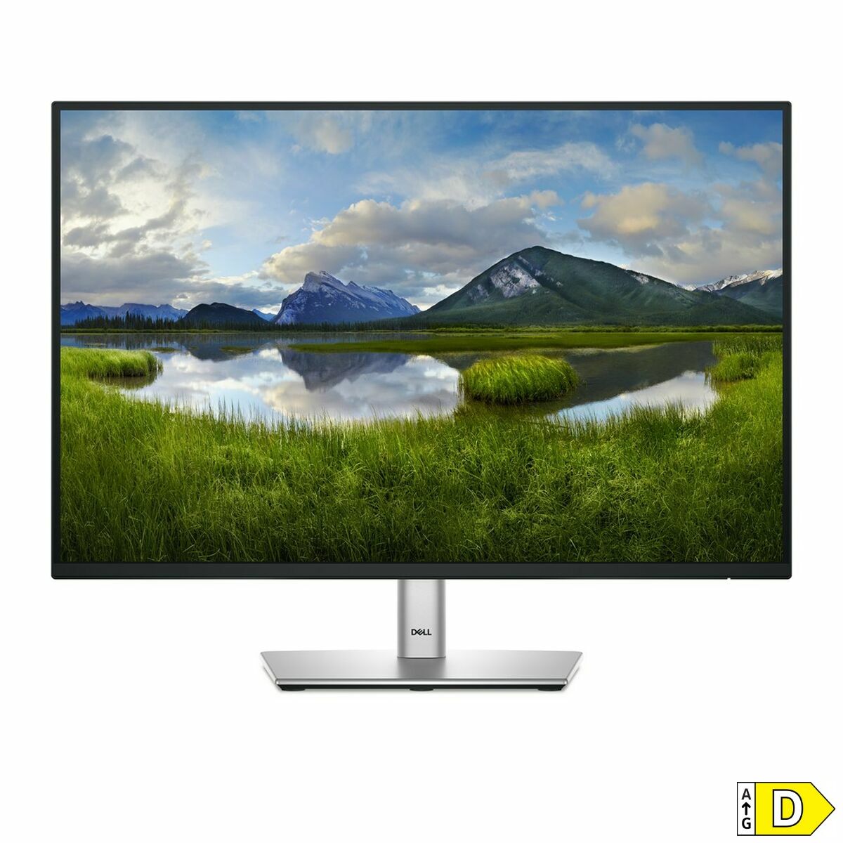 Dell 24" P2425 Monitor