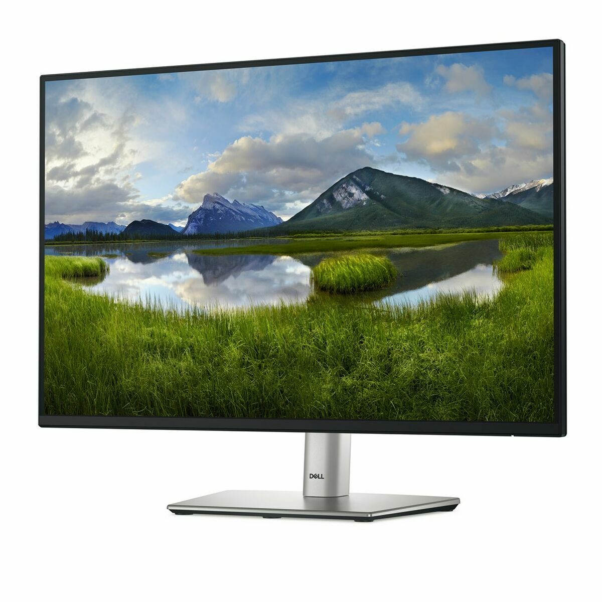 Dell 24" P2425E USB-C Hub Monitor