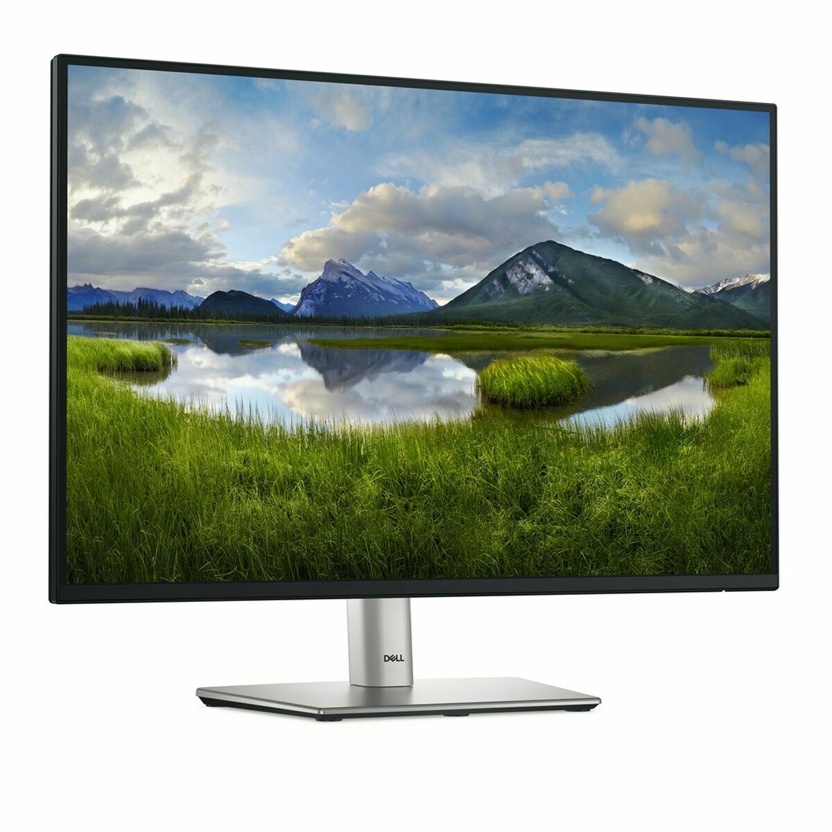 Dell 24" P2425E USB-C Hub Monitor