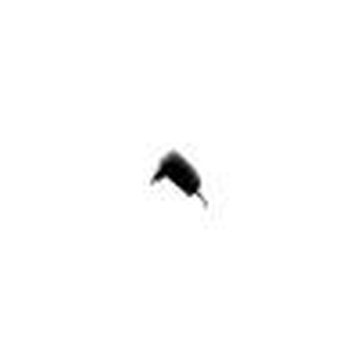 DYMO Adaptateur secteur LabelManager