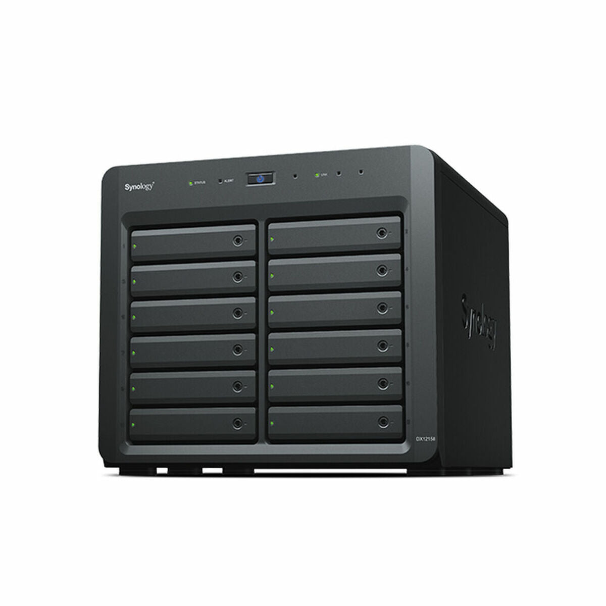 SYNOLOGY DX1215ll 12-bay Expansion Unit 12x3.5p 1xInfiniband