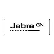 Jabra Evolve 20 SE Stereo MS USB C/A ada