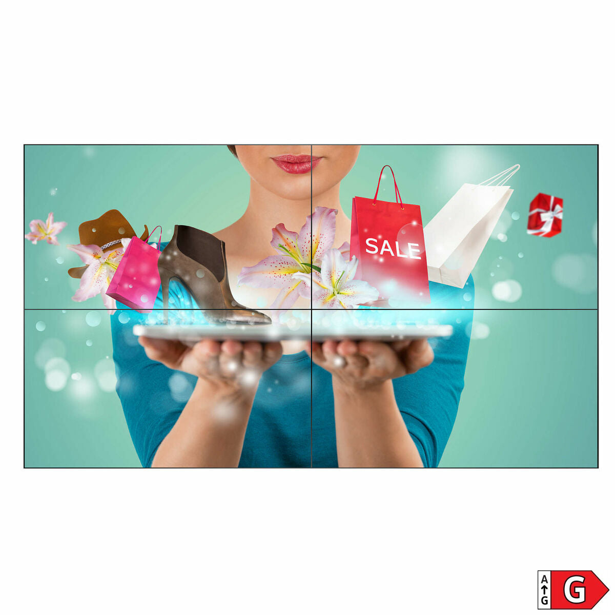 PHILIPS- Ecran pour mur d images 55" 55BDL2105X/00