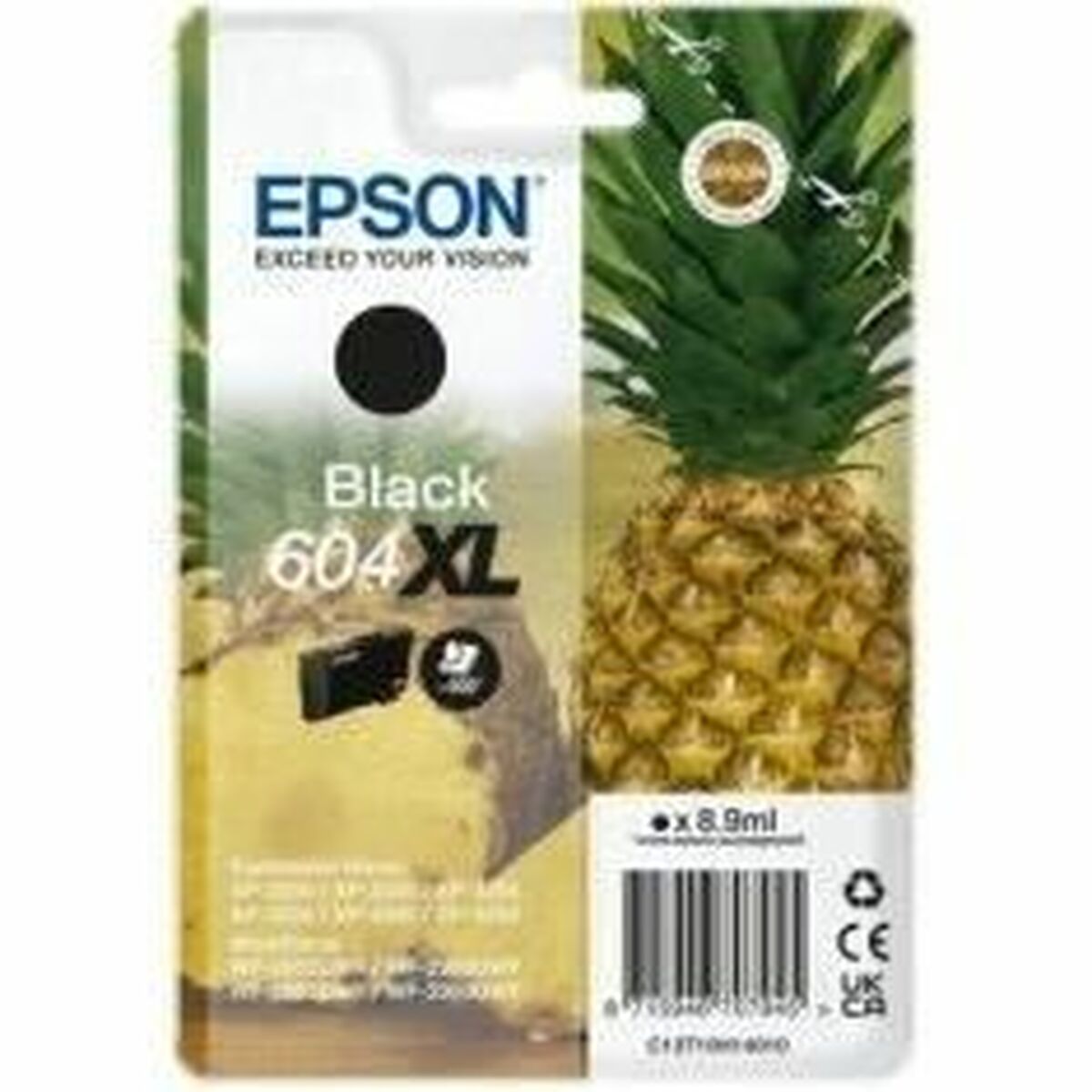 EPSON 4LB Singlepack Black 604XL Ink