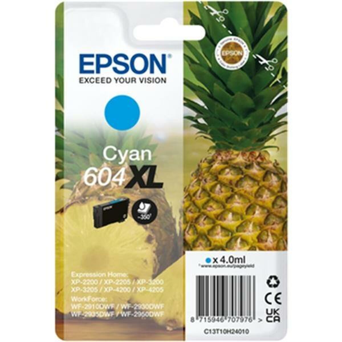 EPSON 4LB Singlepack Cyan 604XL Ink