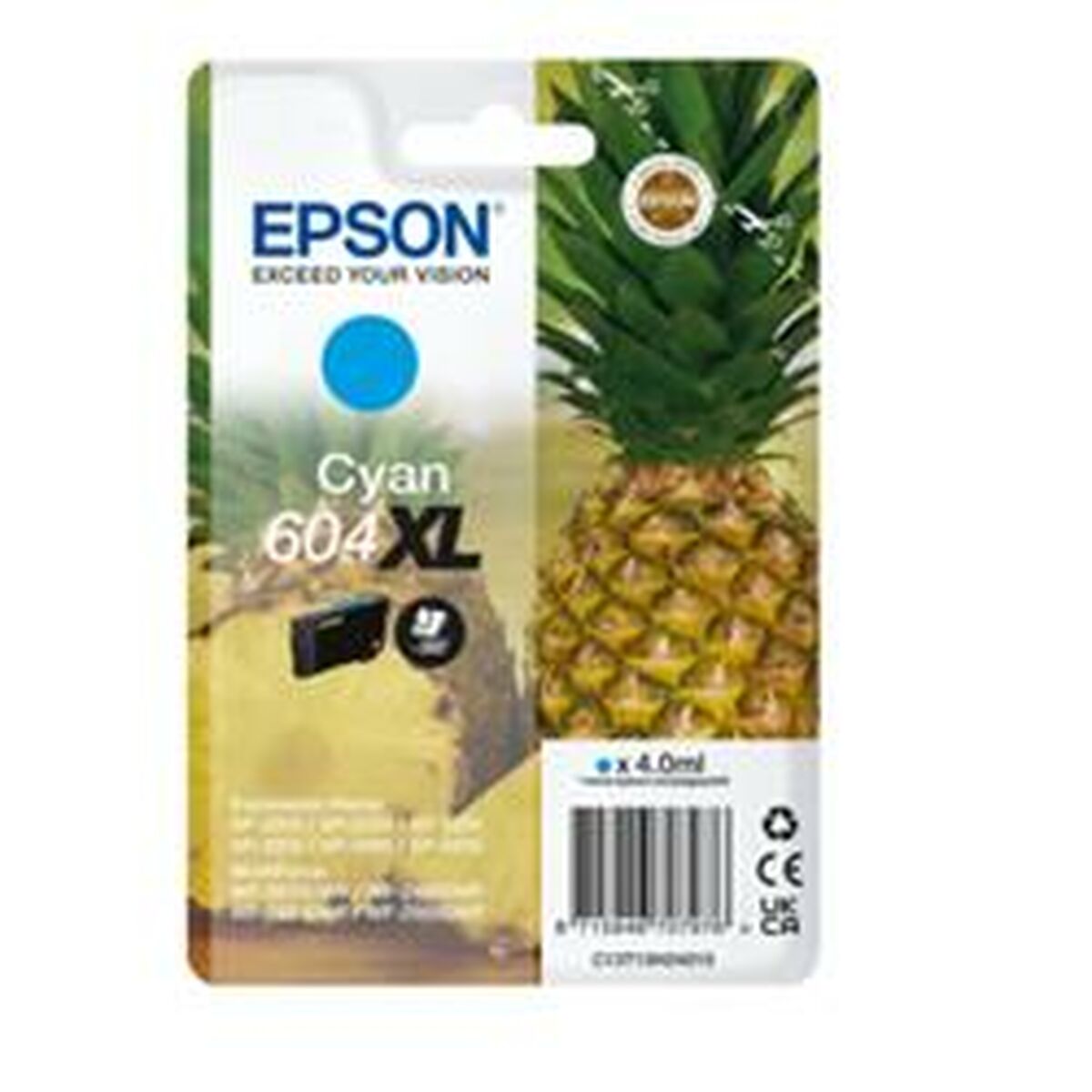 EPSON 4LB Singlepack Cyan 604XL Ink w/s