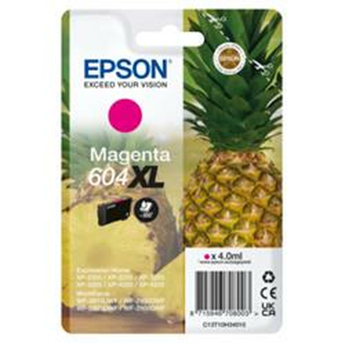 EPSON 1LB Singlepack Magenta 604XL Ink w/s