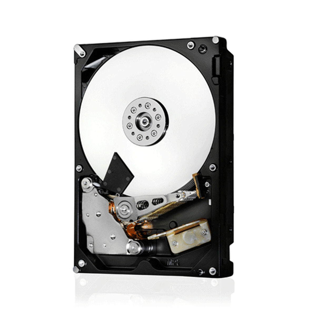 DH HC570 22TB 512MB SAS 512E SE P3