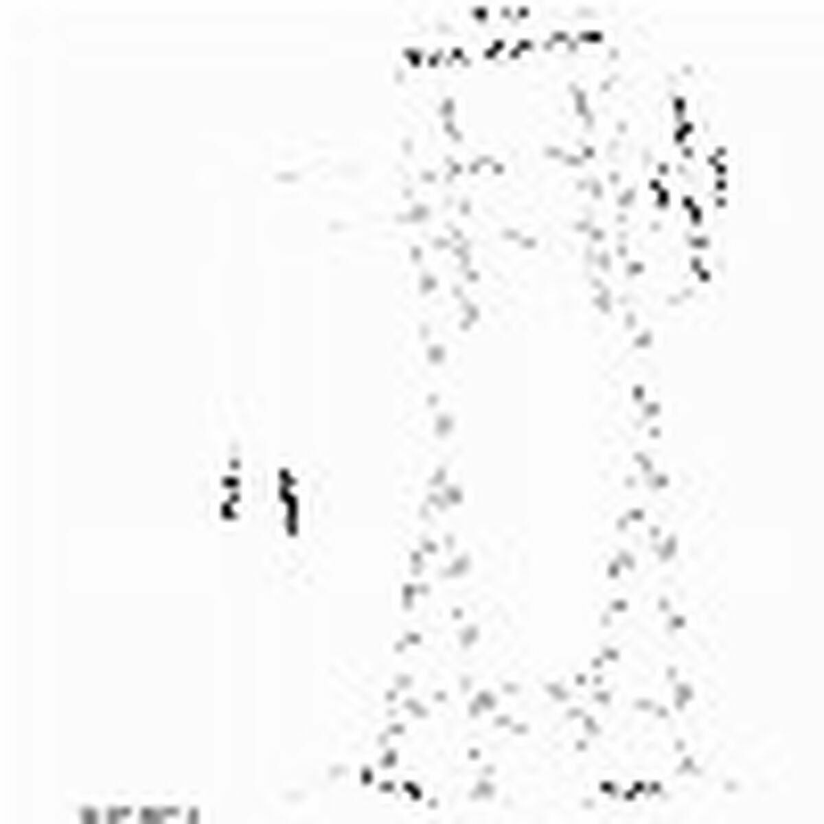 NEOMOUNTS PLASMA-M1000 Support au sol pour écran 32-55p