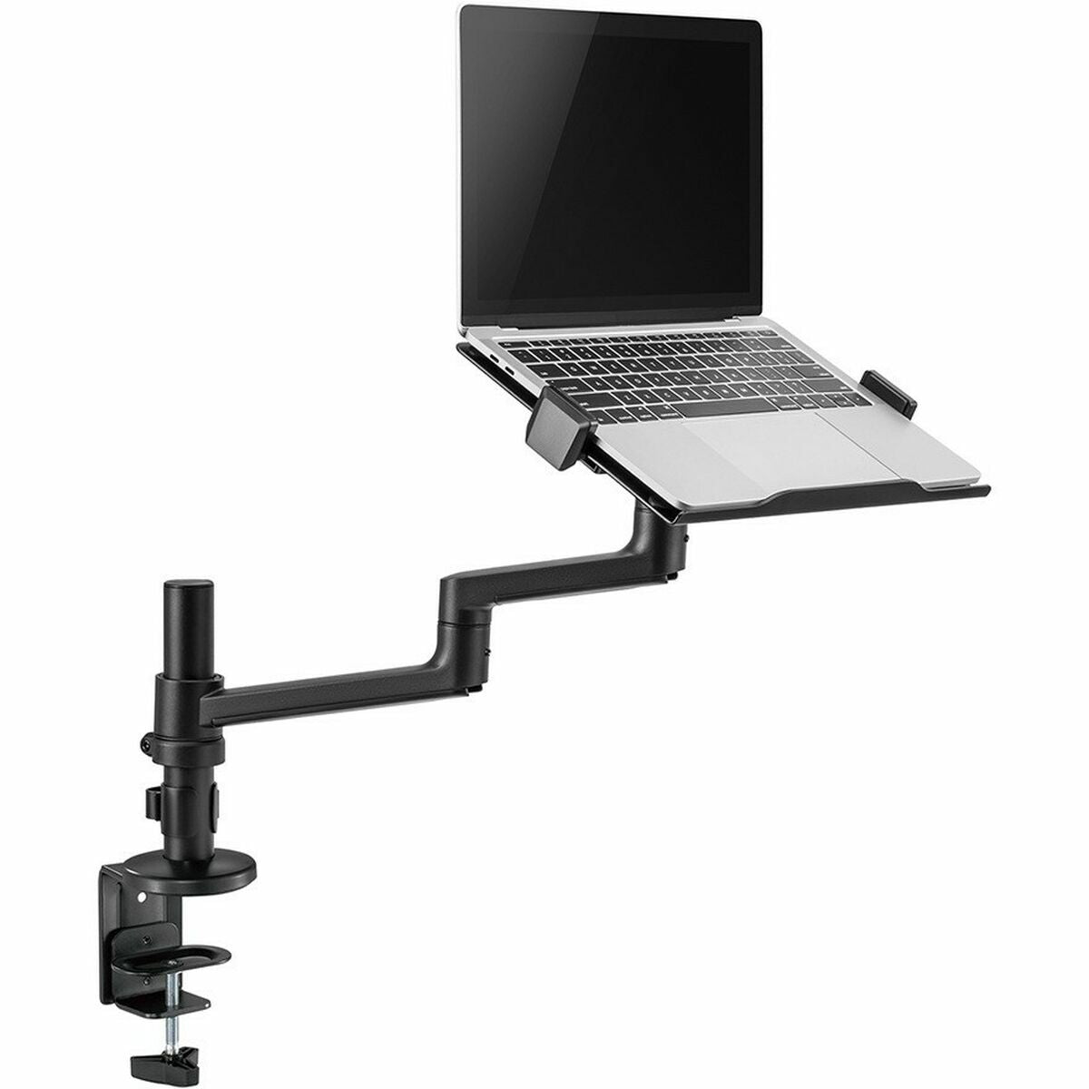 NEOMOUNTS DS20-425BL1 Support dordinateur portable à fixer 11.6-17.3p - économie despace