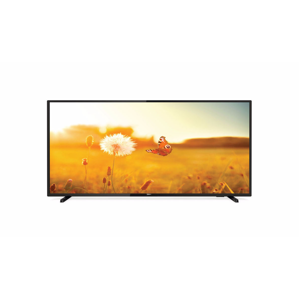 PHILIPS- Téléviseur professionnel 43" 43HFL3014/12
