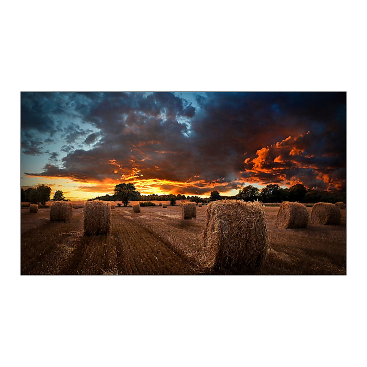 SAMSUNG 55inch 16:9 FullHD VM55B-U direct-LED IPS 500nits DP 1.2, HDMI in x2/out, DVI-D, Ethernet, 3.5mm bezel to bezel VESA 600x400