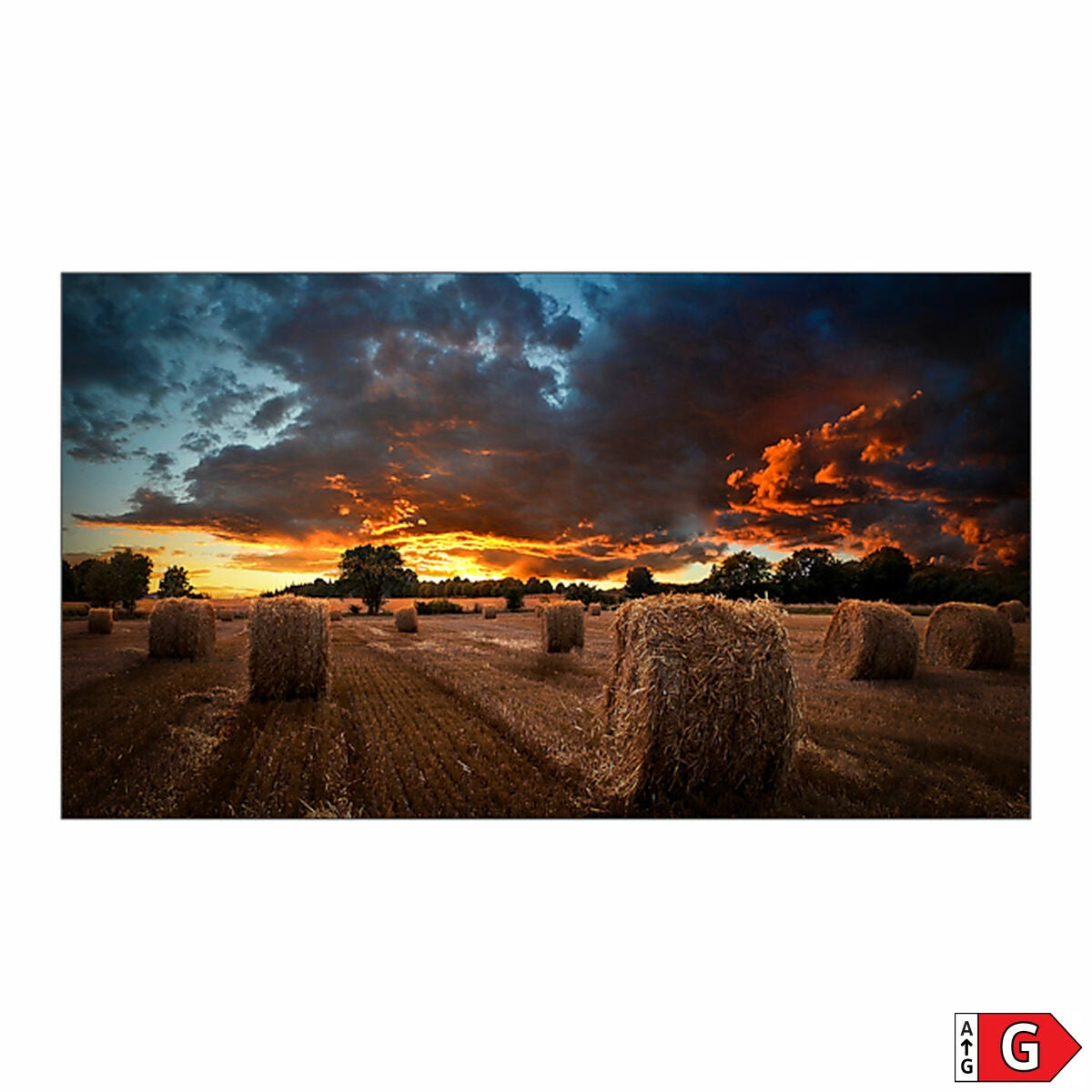 SAMSUNG 55inch 16:9 FullHD VM55B-U direct-LED IPS 500nits DP 1.2, HDMI in x2/out, DVI-D, Ethernet, 3.5mm bezel to bezel VESA 600x400
