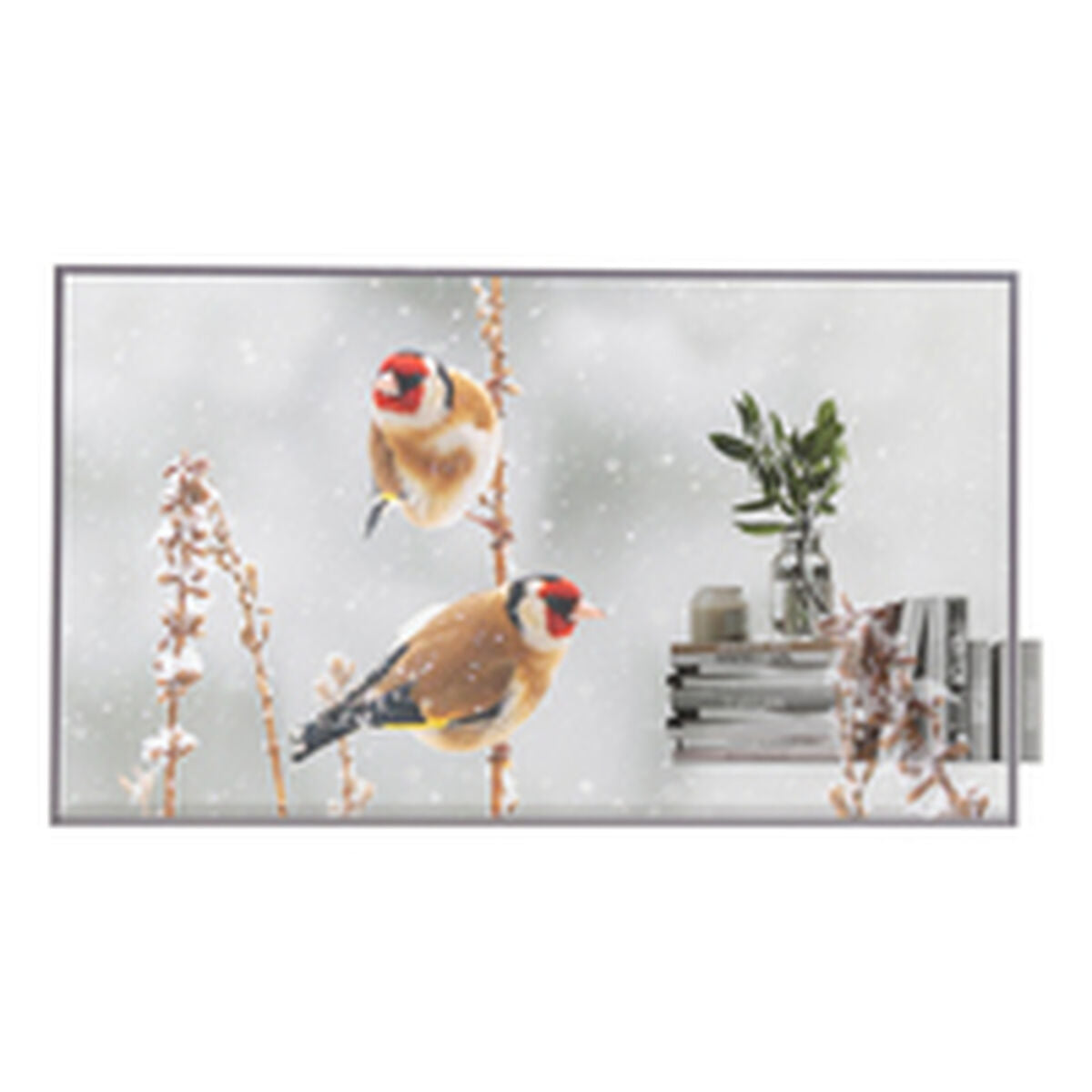 55EW5P-M/OLED 55'' transparent OpenFrame