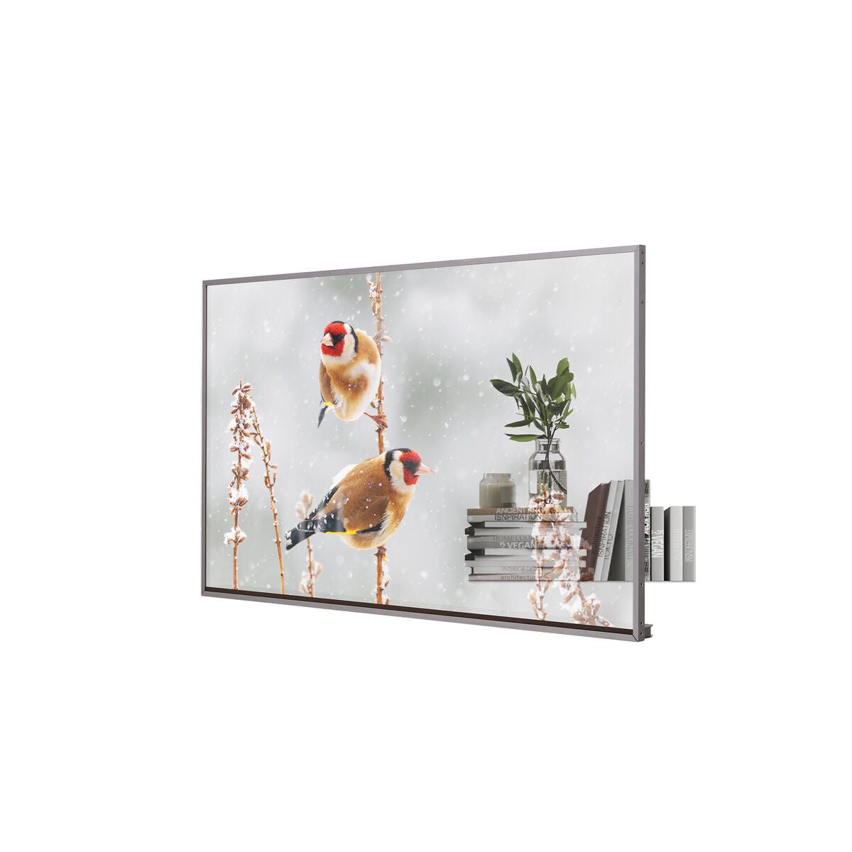 55EW5P-M/OLED 55'' transparent OpenFrame