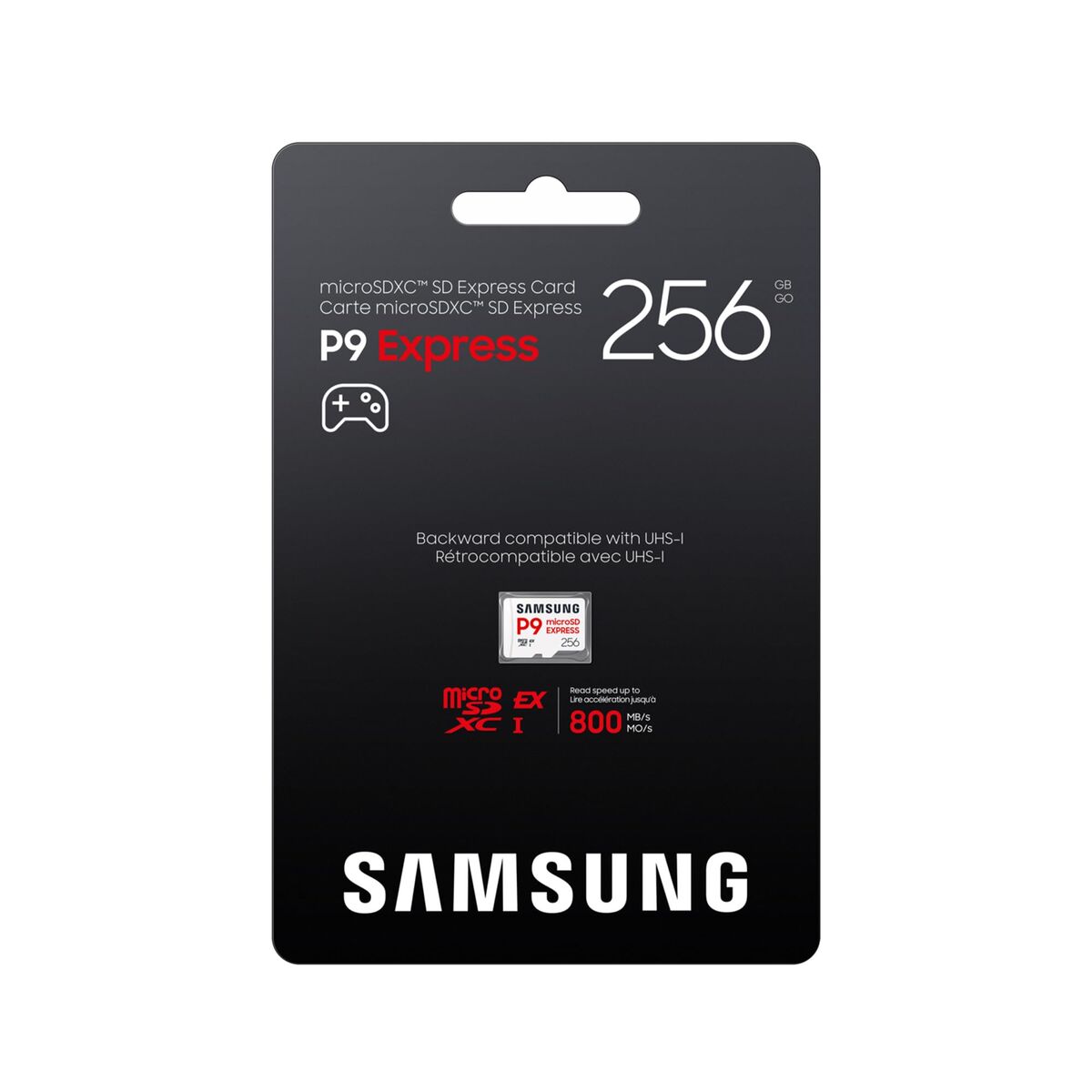 Samsung MicroSD 256GB P9 Express