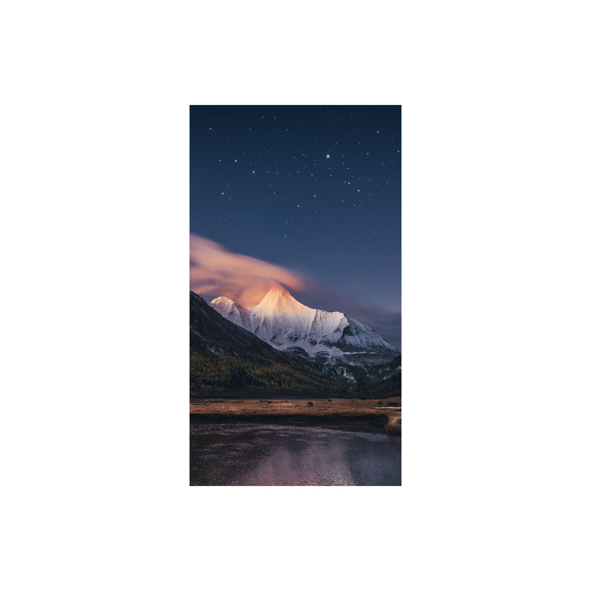 SAMSUNG VMC55R 55p FHD 0.88mm Frame
