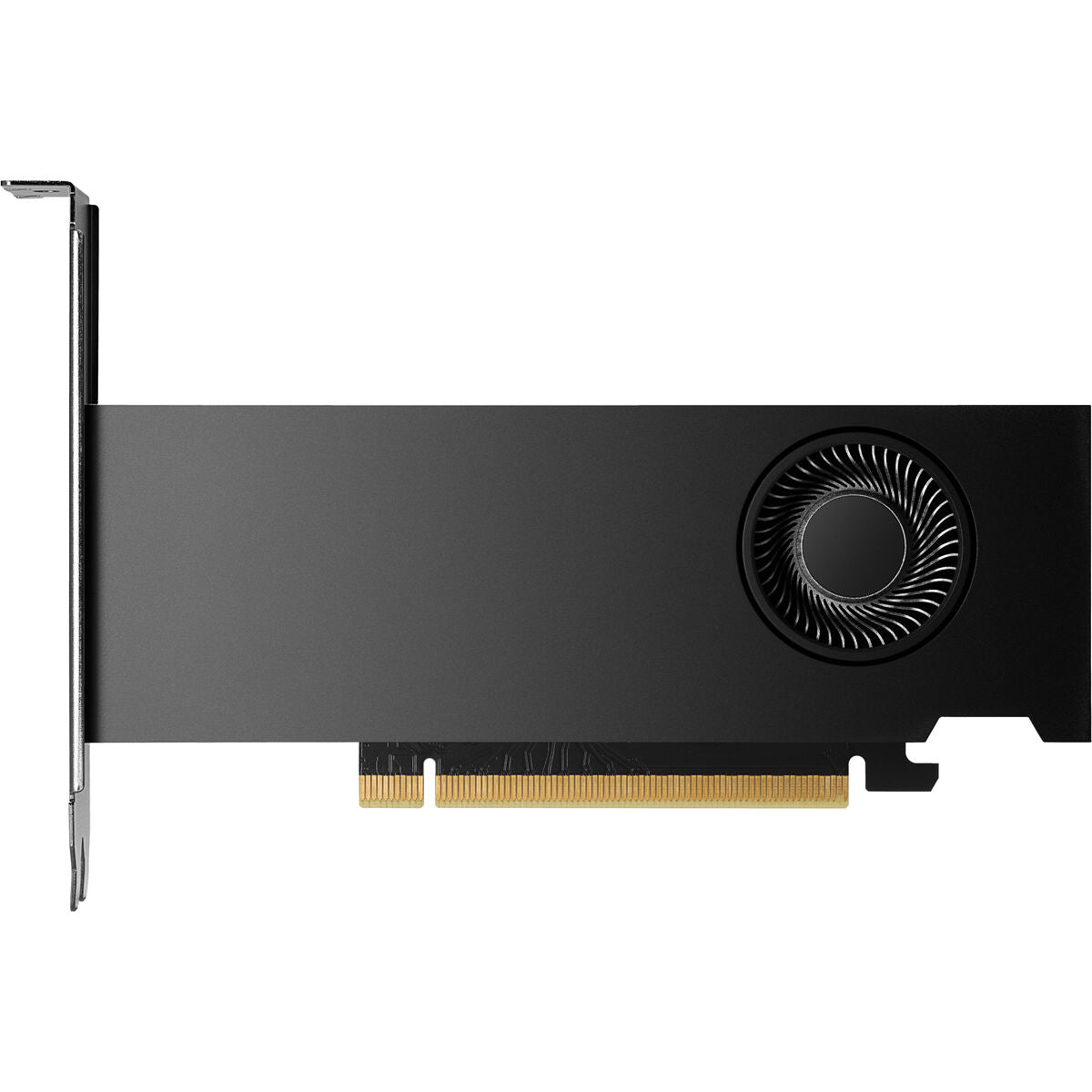 HP NVIDIA RTX 2000 Ada 16Go 4mDP Graphics