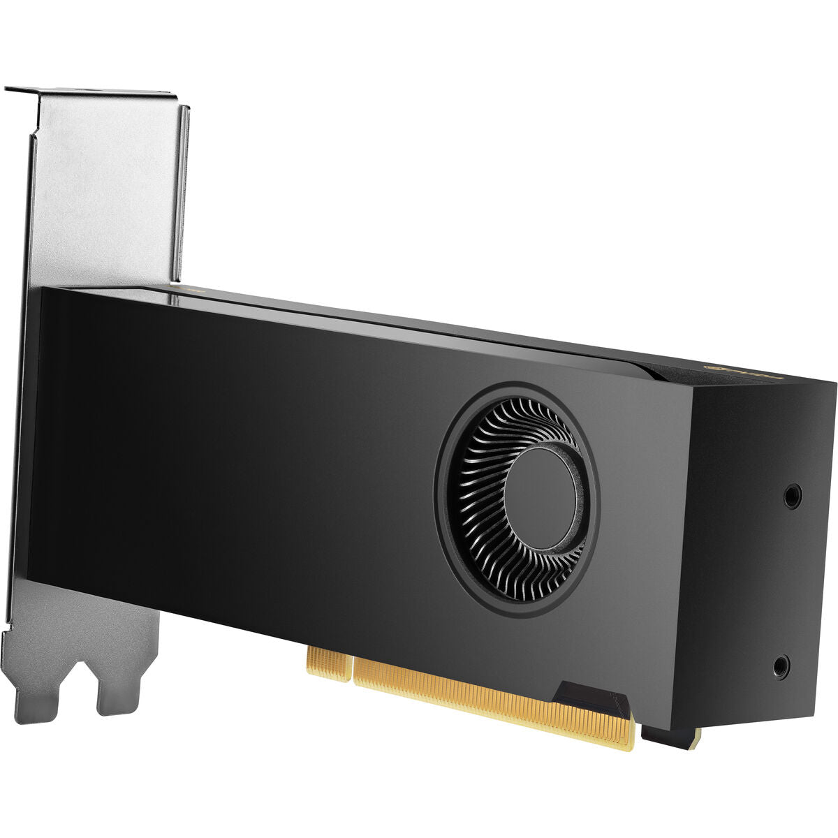 HP NVIDIA RTX 2000 Ada 16Go 4mDP Graphics