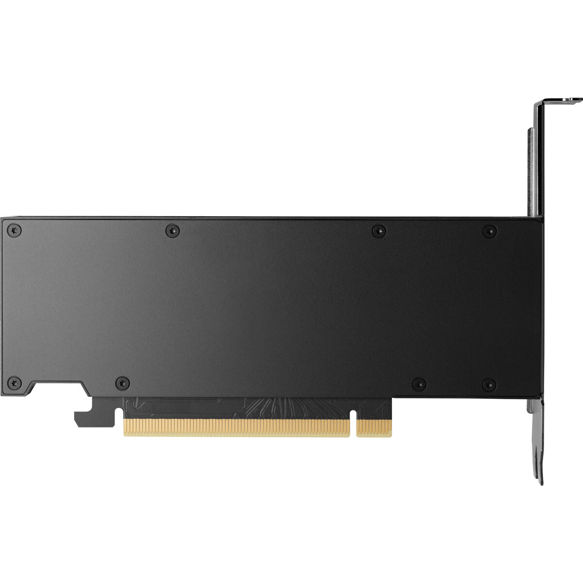 HP NVIDIA RTX 2000 Ada 16Go 4mDP Graphics