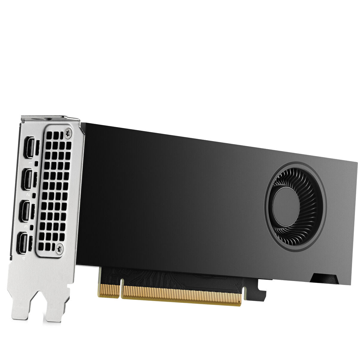 HP NVIDIA RTX 2000 Ada 16Go 4mDP Graphics