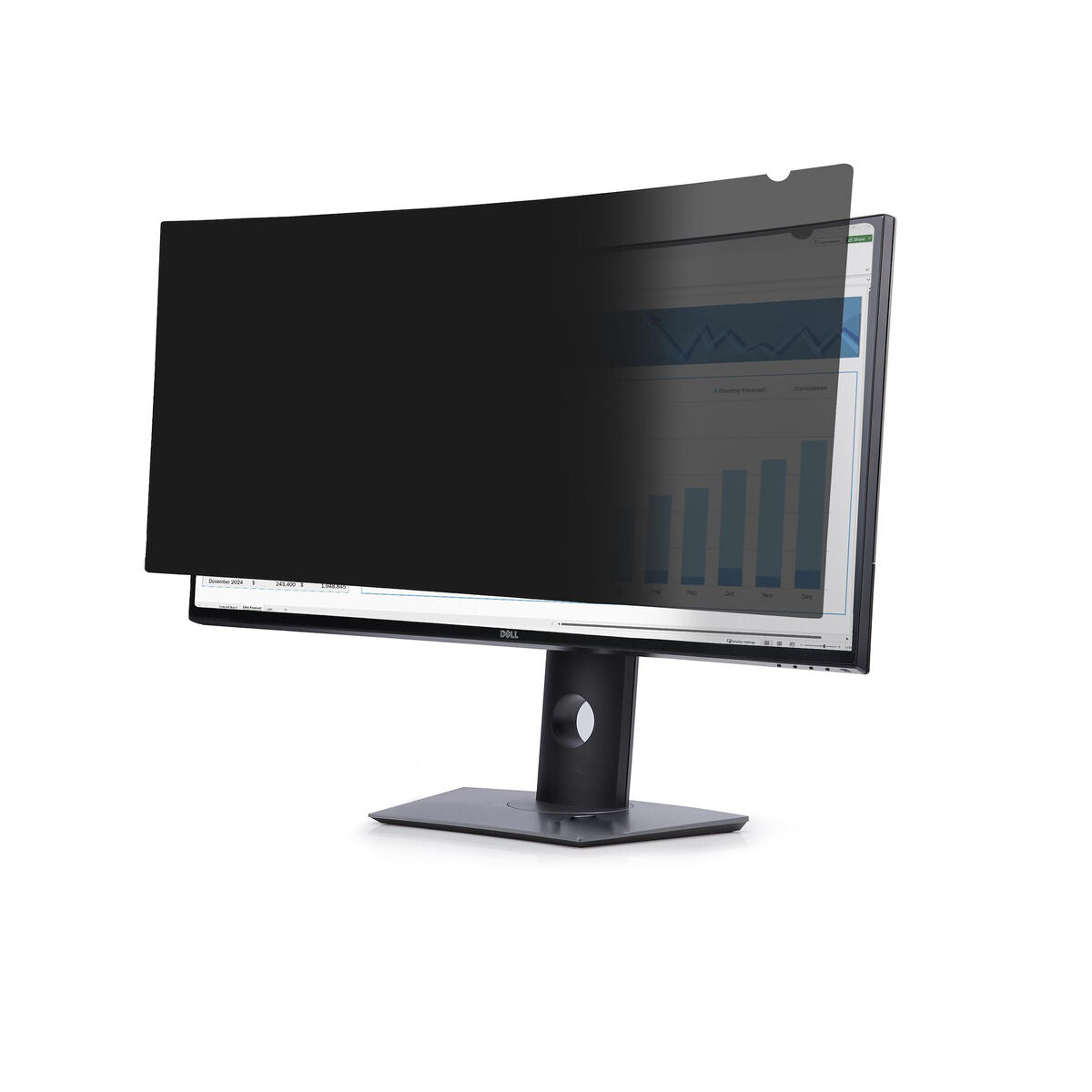Privacy Screen Dell P3424WE Double Sided