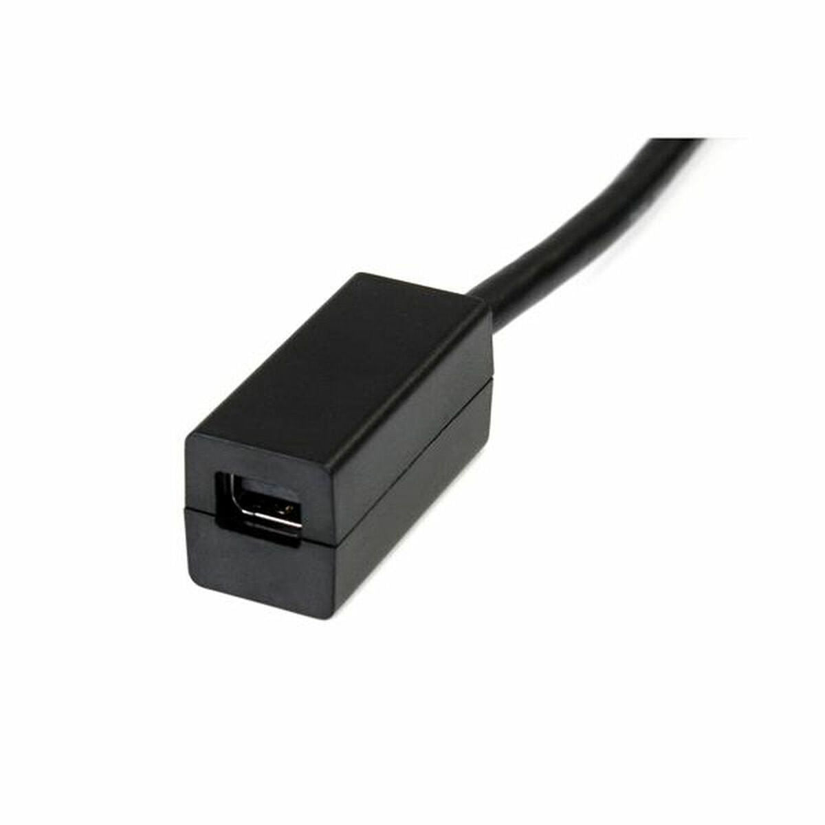 DisplayPort to Mini DisplayPort Adapter