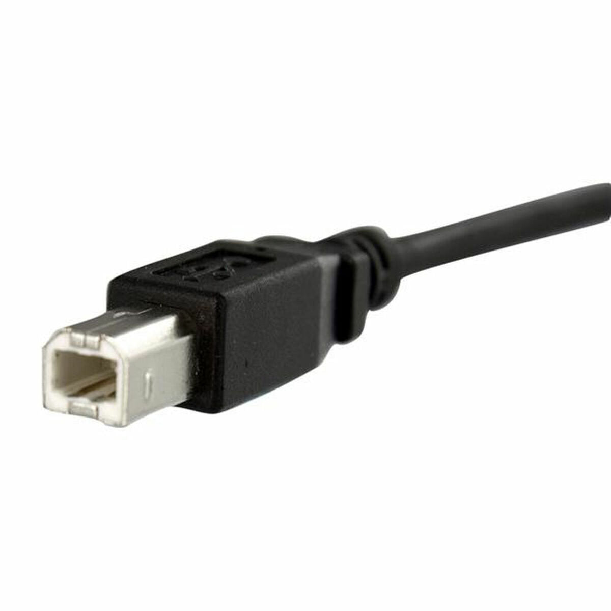 1ft Panel Mount USB B to B Cable - F/M