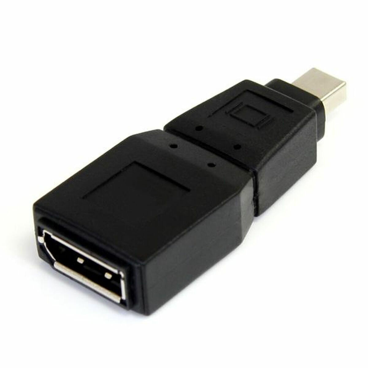 Mini DisplayPort to DisplayPort adapter