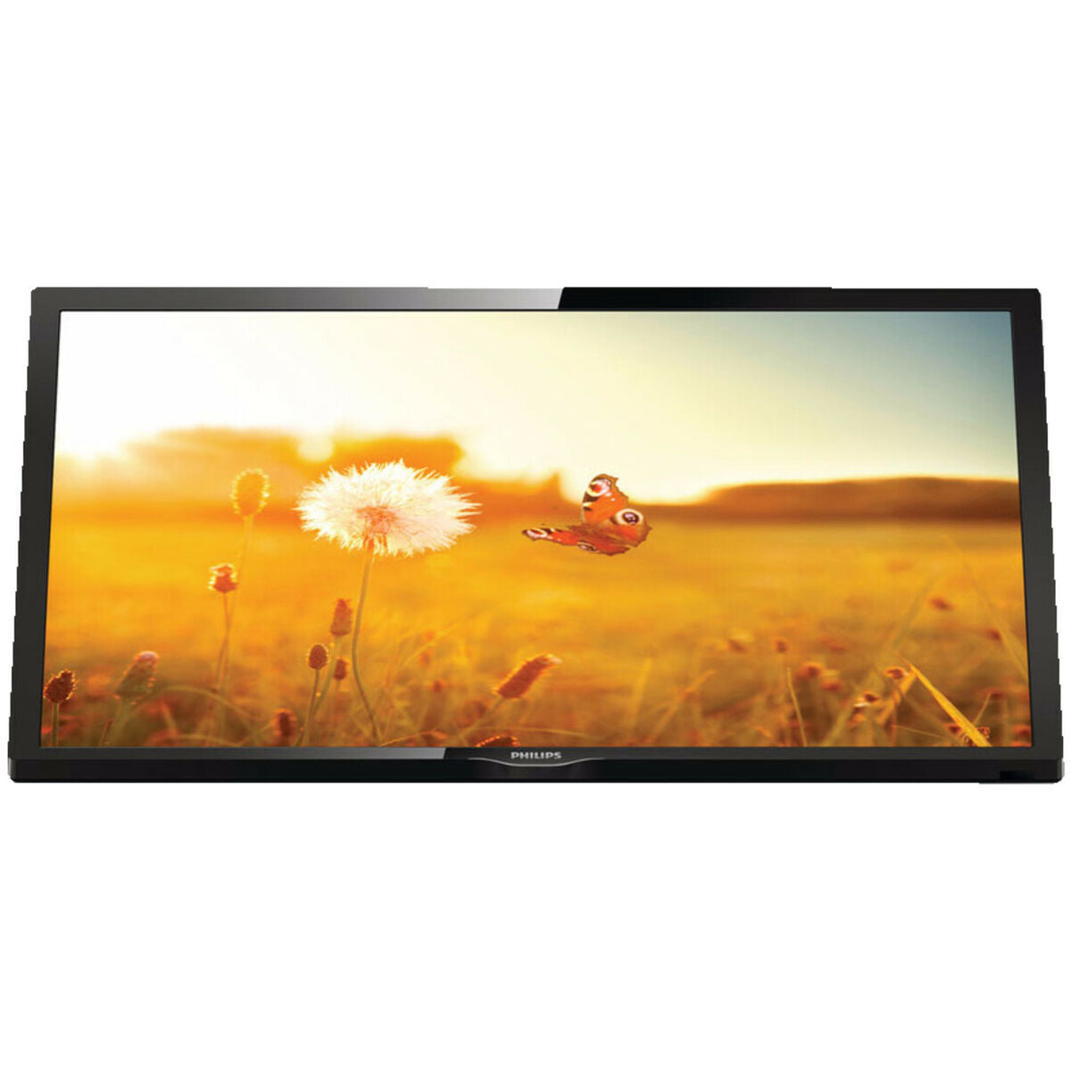 PHILIPS- Téléviseur professionnel 24" 24HFL3014P/12