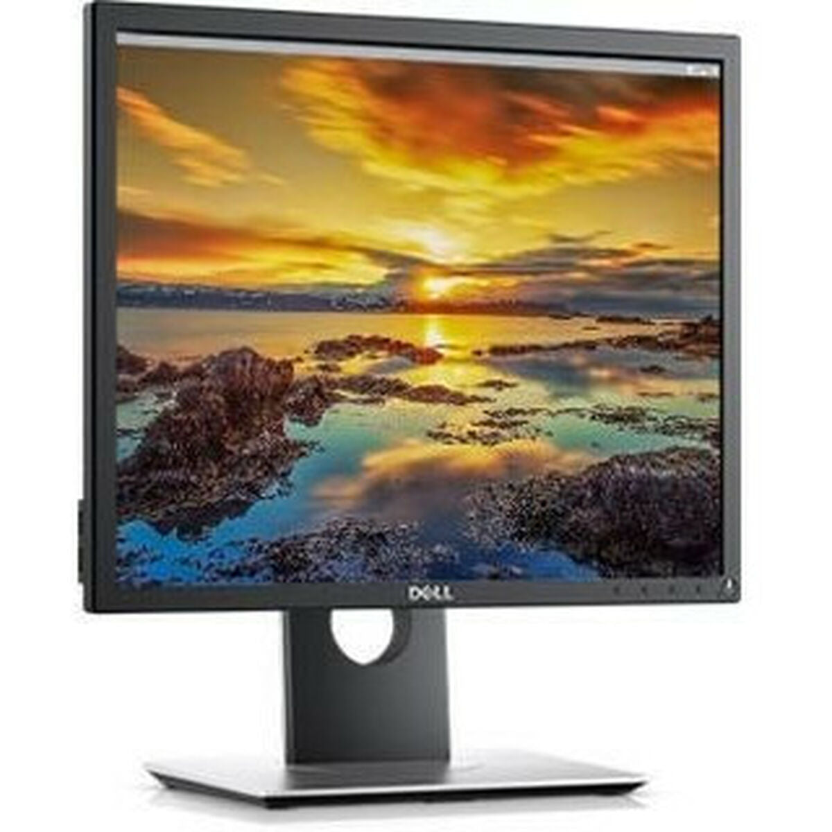 Dell 19" P1917SE Monitor