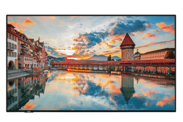 VESTEL- Afficheur professionnel 65" PN65D-4HH