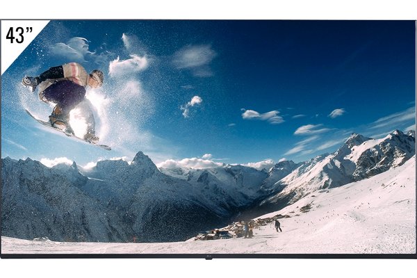 LG - Afficheur professionnel 43" UHD 4K 43UL3J