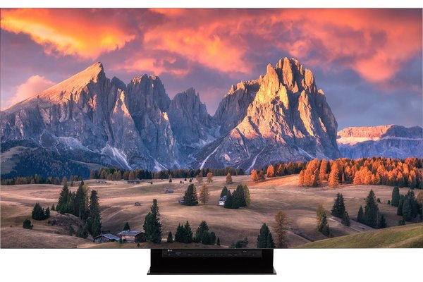 LG- Afficheur professionnel OLED 65" 65EP5G